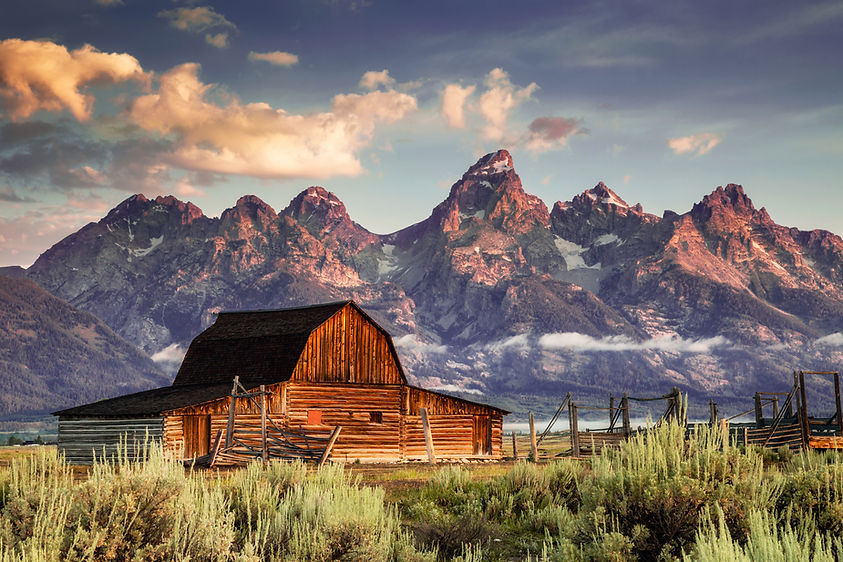 iStock-186546668.jpg