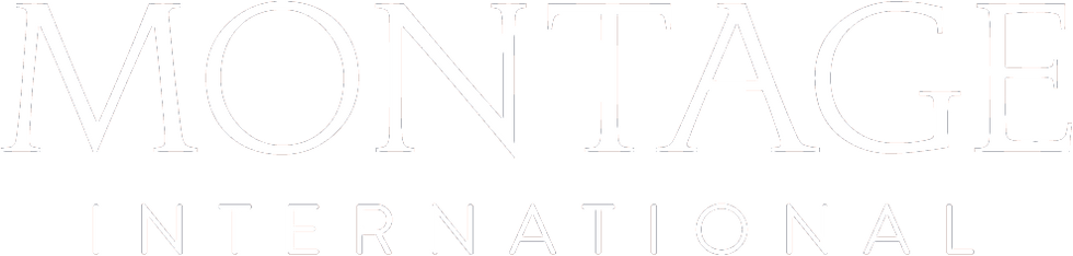 MI Logo 300x60 Black_edited.png