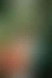 Photo of couple sharing intimate moment in greenery.