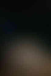 Minimalist wedding escort card table with floral centerpiece at Wildman BT Chicago.