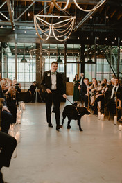 Groomsman walks dog down aisle