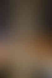 Bright and elegant florals and tablescapes.