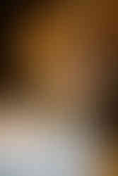 Colorful fall wedding centerpiece with roses and blue thistle at Wildman BT reception.