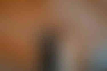 Newlyweds give speech with brick background