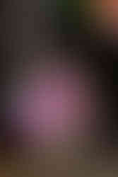 Guest serving paletas from colorful La Michoacana ice cream cart at modern Chicago wedding.