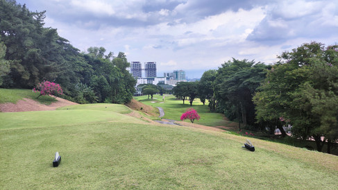 Hole 18 from the tee box alt text
