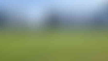 Hole 3 green alt text