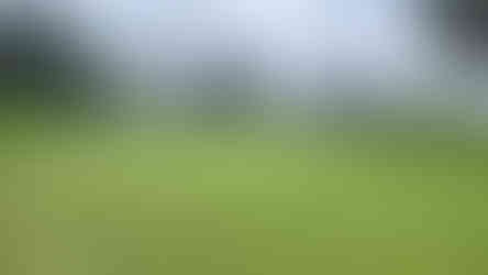 Hole 18 approaching the green alt text