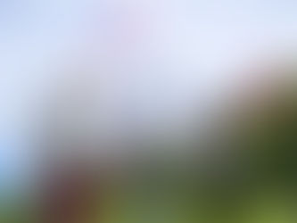 あっという間に　お盆が過ぎていった