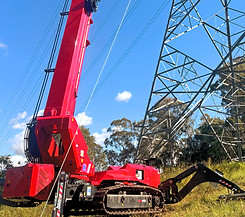 54m Spider_edited_edited.jpg