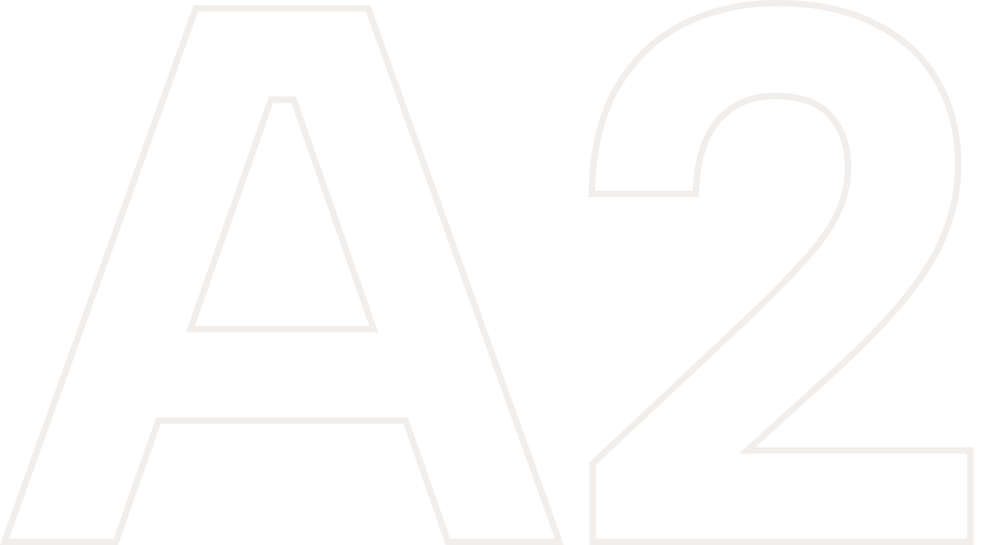 A2.png