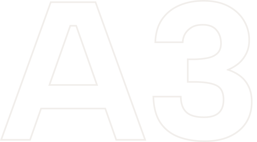 A3.png