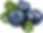 Generated Image September 28, 2025 - 10_05PM_edited.png