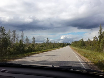 Kaunottaresta hirviöksi - asennemuutos lupiinia kohtaan