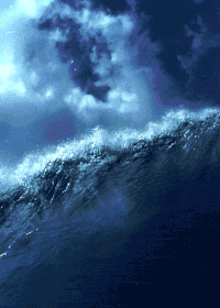 image_search_1677472056029.gif