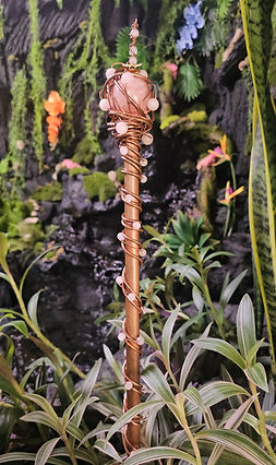 20250424_072254 (2).jpg