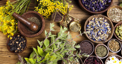 herb.jpg