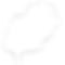 white feather (1).png