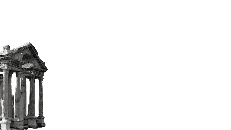 15.webp