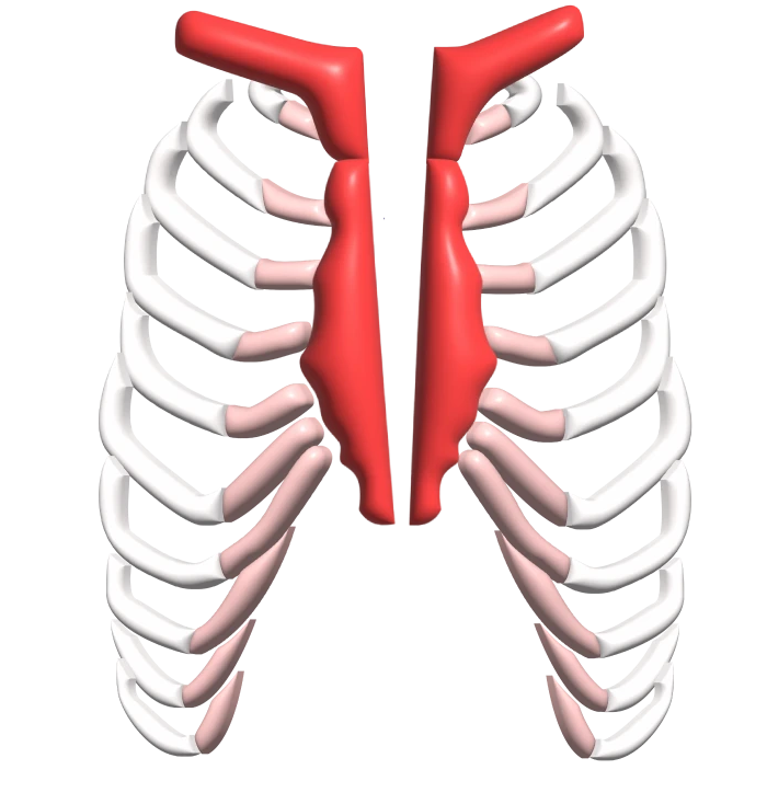 Pectus Sternal Cleft - Dr Pektus