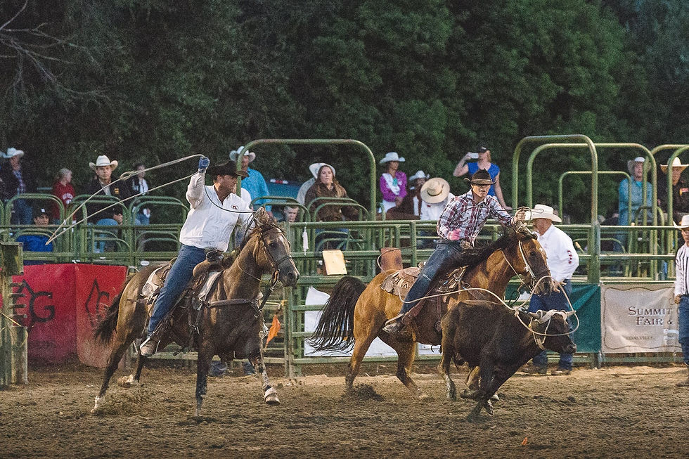summit county fair rodeo team roping in coalville utah