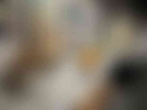 NEBRASKAland Days open art show gallery at the prairie arts center in north platte nebraska