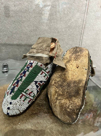 voices of the land spirit of native america speaker karen little thunder at the prairie arts center north platte nebraska