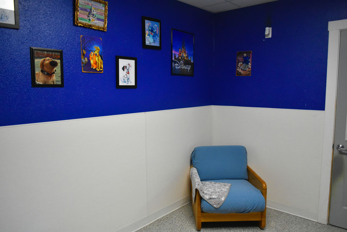 disney dogs condo boarding room facility at paws-a-palooza day camp in north platte nebraska