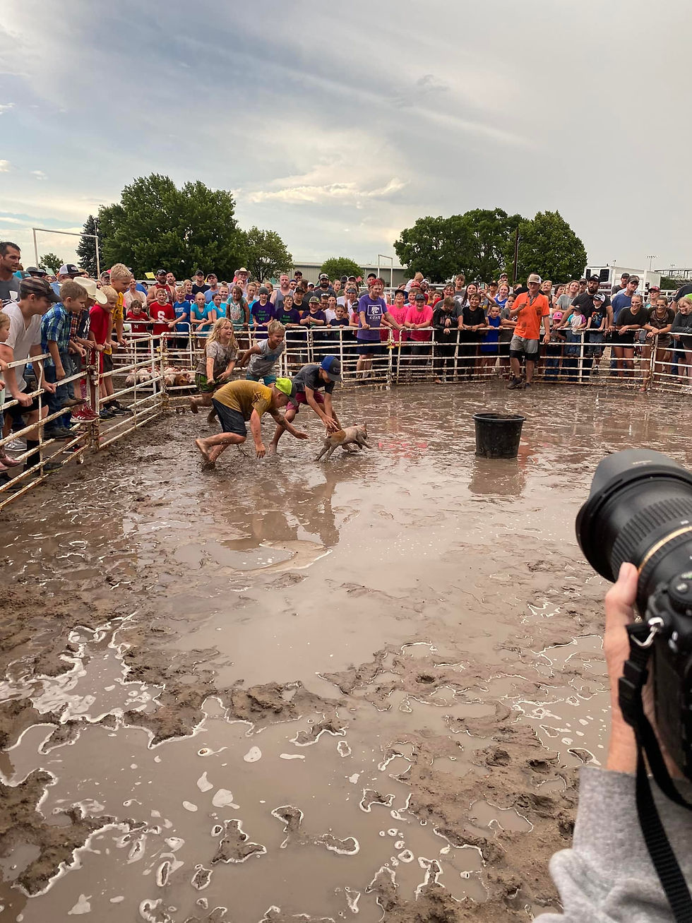 kids putting a pig in a bucket during the pig wrestling event at the lincoln county fair in north platte nebraska