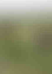 IMG_20250310_181606 (13).jpg