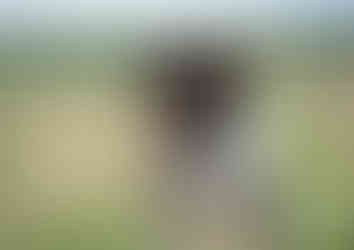 IMG_20250310_181606 (7).jpg