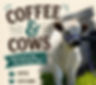 Coffee & Cows