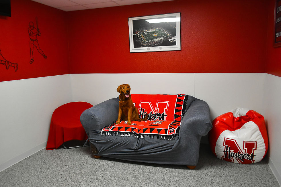 Pawsapalooza Facility overnight boarding condo rooms in north platte nebraska
