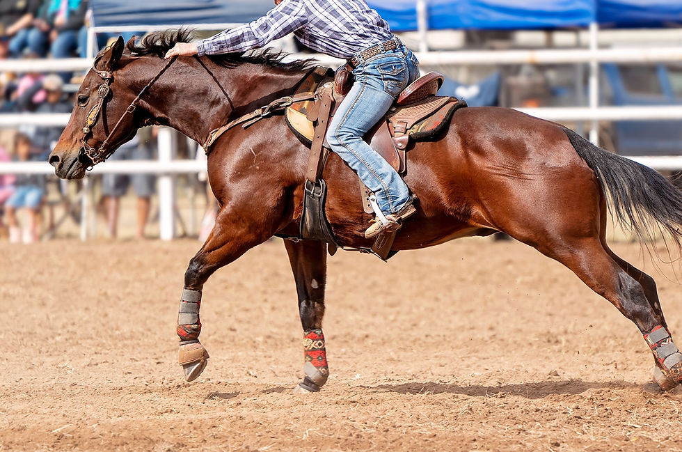 cowboy cowgirl riding a running horse in a rodeo arena