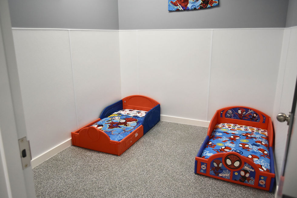 standard or deluxe suite or presidential themed condo suite available for overnight dog boarding at Paws-a-Palooza in North Platte Nebraska