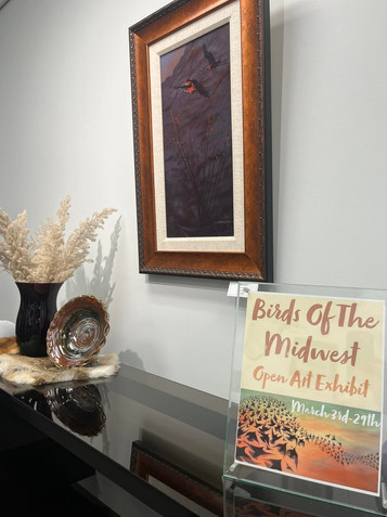 birds of the midwest art gallery at the prairie arts center in north platte nebraska