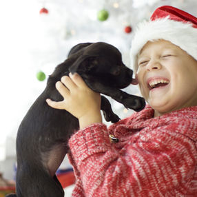 Un petit garçon avec un bonnet de noël embrassant un chiot noir