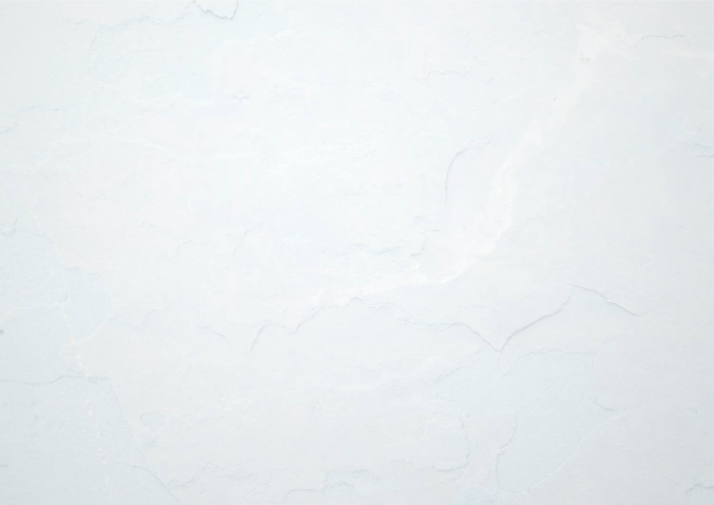 Wisdom's_Bone_Background