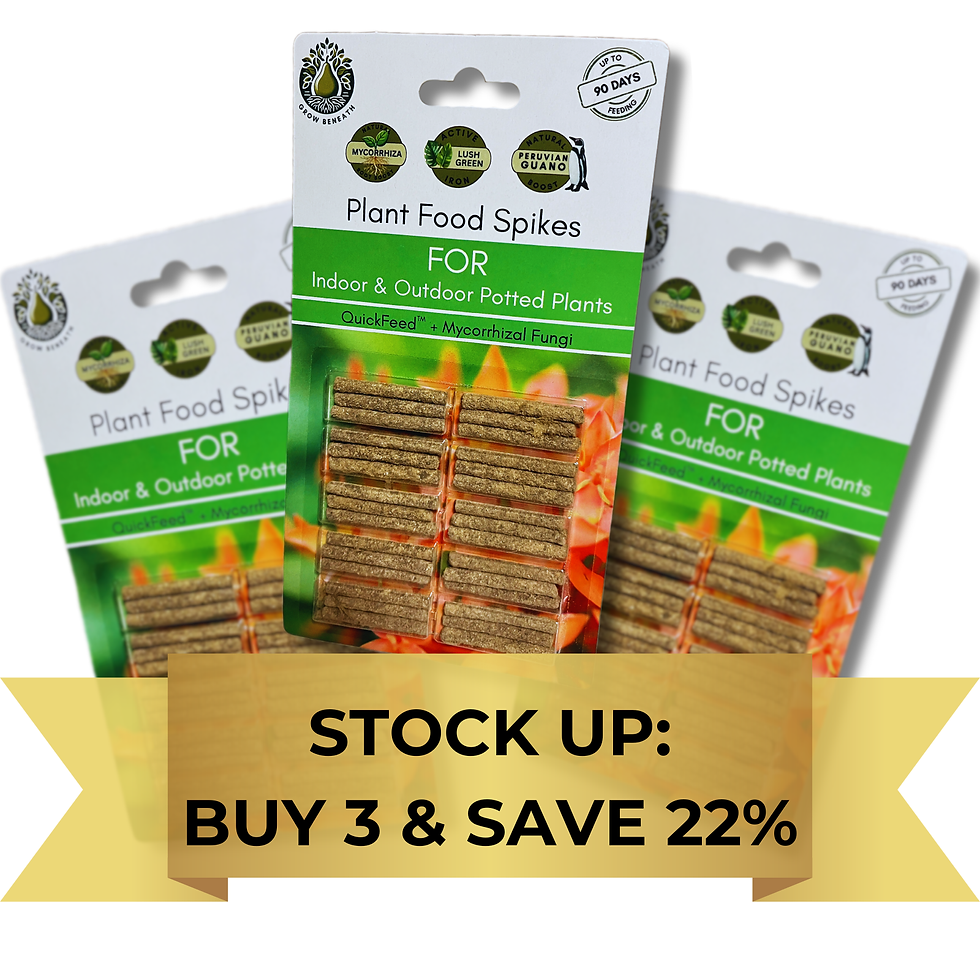 Thumbnail: Set of 3 Packs | 90 Plant Food Spikes | QuickFeed + Mycorrhizal Fungi