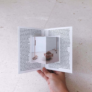 0004 Text to go with the works of Genevi