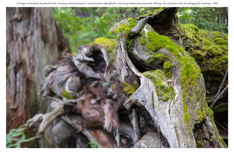 GnarledTreeTrunk-Small.jpg