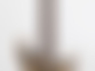 Product Gallery Part.39/Severn Trem SSS Lam Top #1329