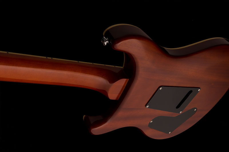 SE Custom 24 Zebrawood