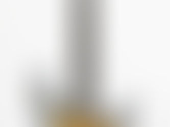 Product Gallery Part.38/Severn Trem HSS #1358