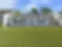 Pic2_edited.jpg