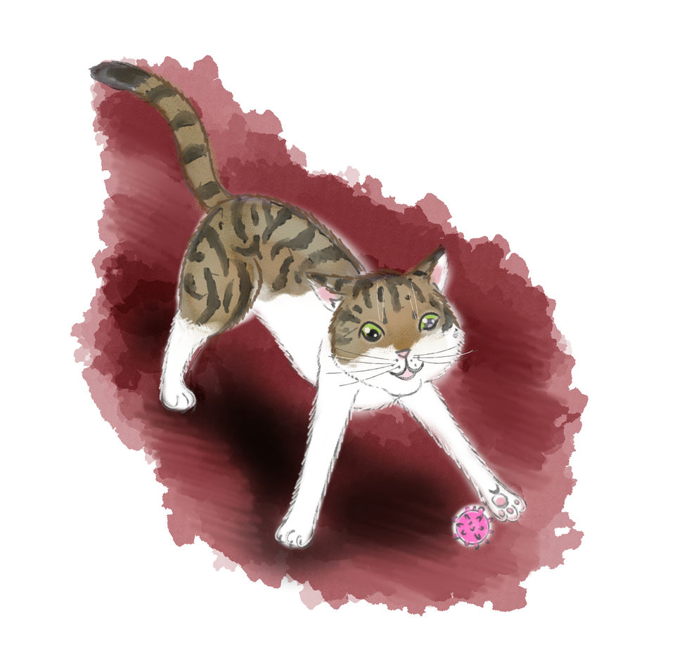 Illustration3