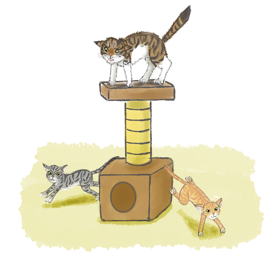 Illustration9