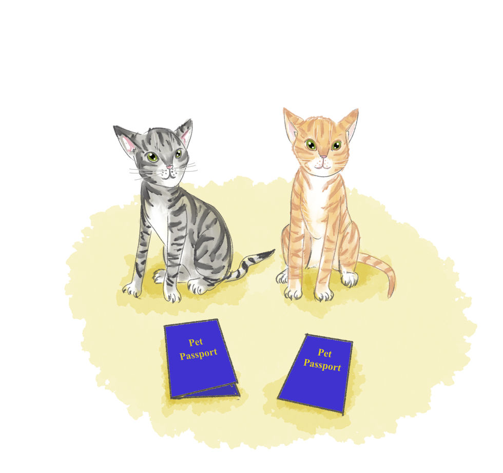 Illustration11