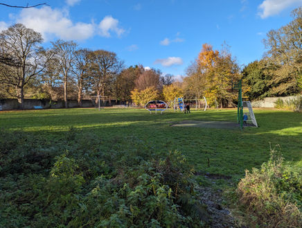 Sunny park field with autumn trees, blue sky, and distant car.