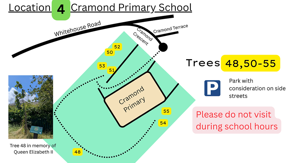 Location 4 Guide Image